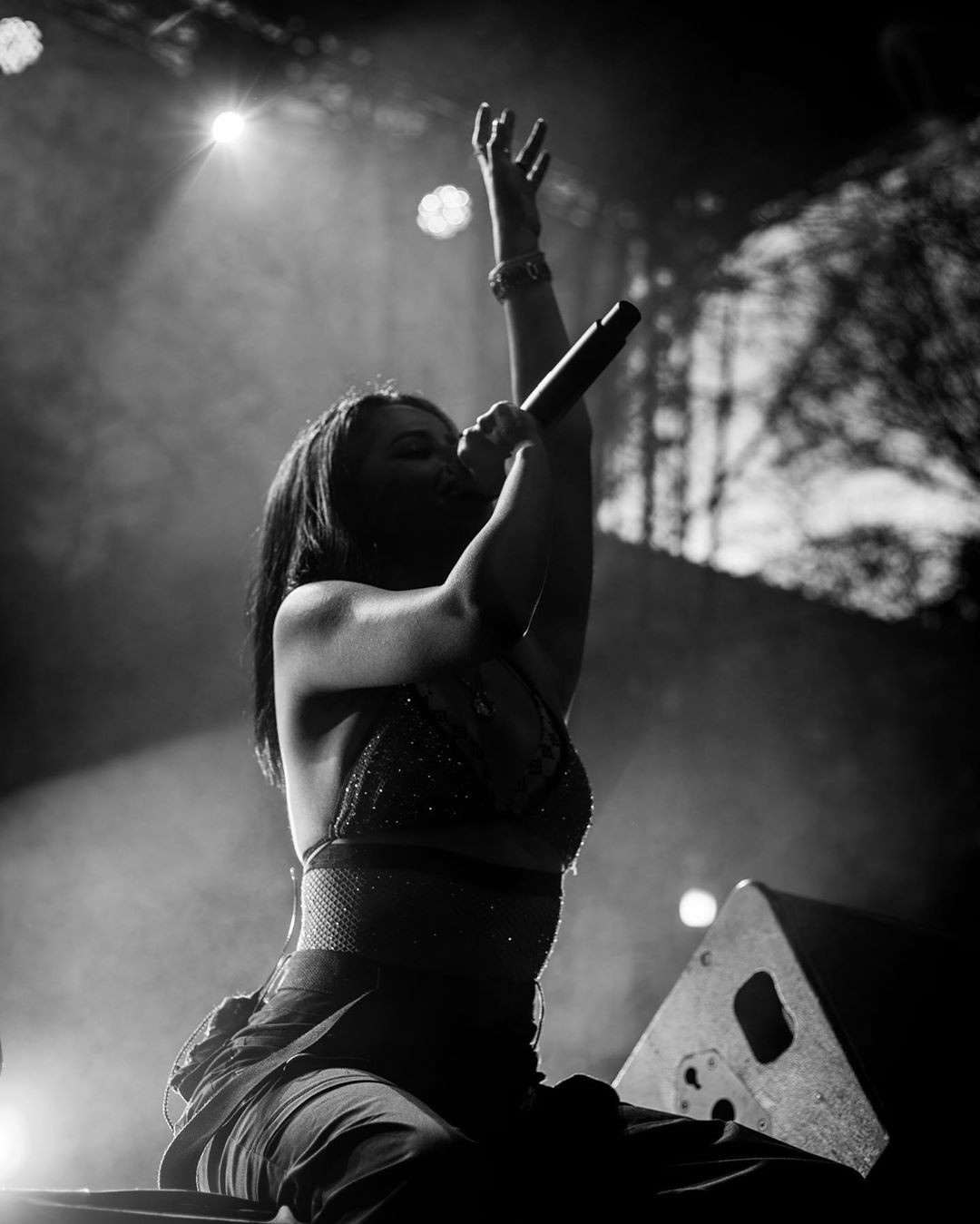 2019: Выступления