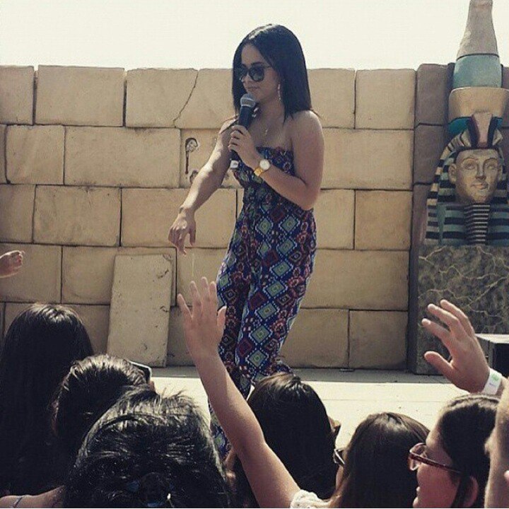 2015: Выступления