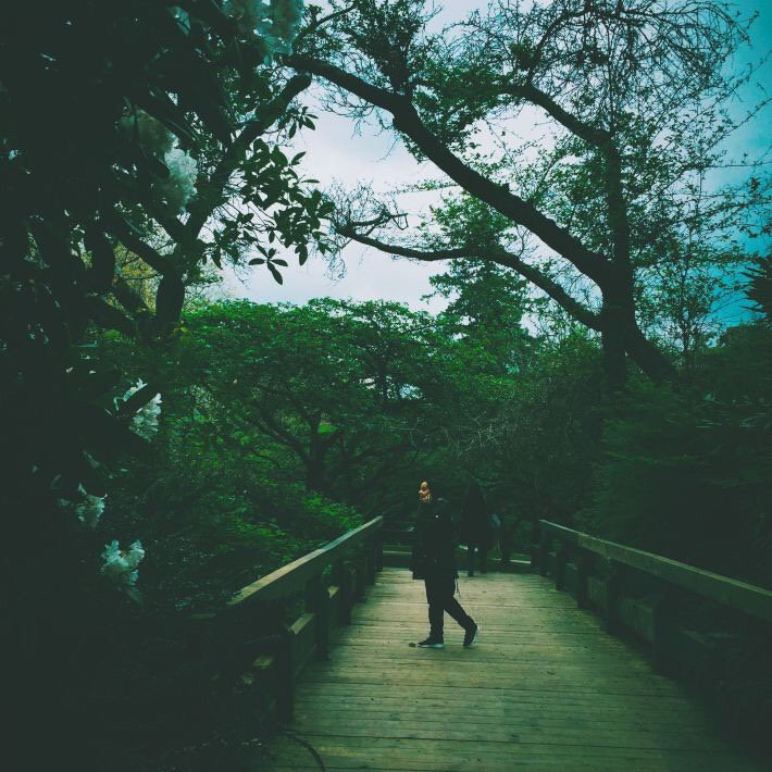 2016-2017: Личные фото